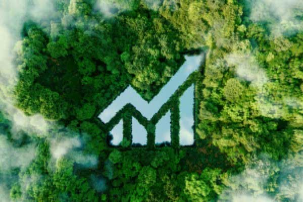 美债拍卖前交投清淡 需求疲软隐忧笼罩市场